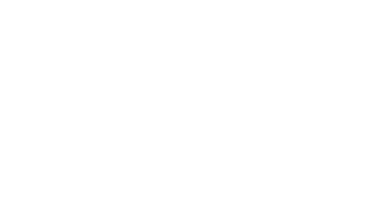 CDSS